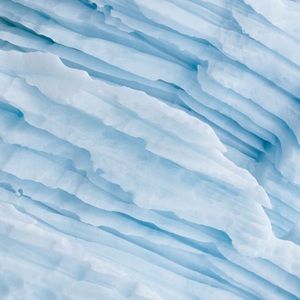 Meet your Posher, Mackenzie